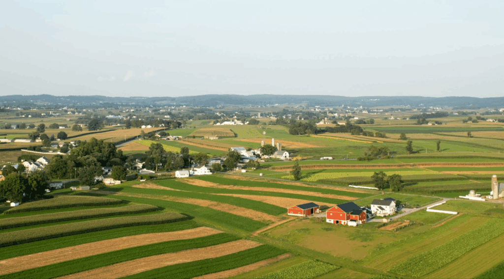 farmland
